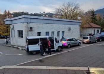 Kanabis, në pranga katër persona