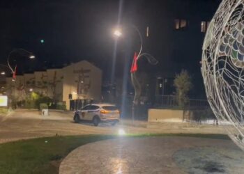 Detaje të reja nga aksioni antidrogë