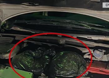 Kanabis, në pranga 32-vjeçari