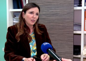 Dhuna ndaj të miturve, djemtë përfshihen në sherr, vajzat bullizohen online