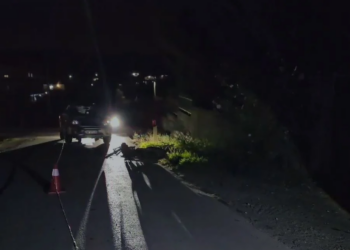 Aksident në Fier, një i plagosur