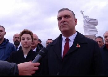 80-vjetori i Çlirimit, Blushi: Përpjekje për të privatizuar datën