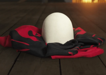 Profesori hedh flamurin kombëtar në kosh, pezullohet nga detyra