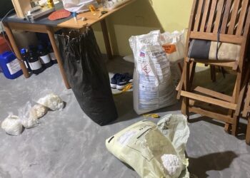 Kokaina në lëkurat e kafshëve/ SPAK dërgon letërporosi