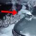 Dogjën dy automjete në Shkodër, arrestohen dy vëllezërit