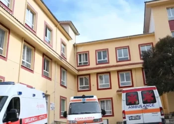 Sëmundja e zgjebes në Pogradec, regjistrohen 7 raste