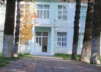 Biçaku i gjetur në çantë/ Dëshmon 13-vjeçari