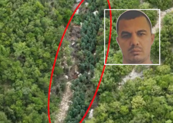 Policia nuk i zbulon dot parcelat e drogës të Andrea Çaushit