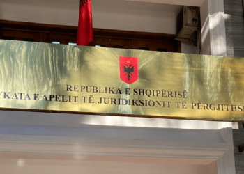 Dënohet me 12 vite burg autori i plagosjes në Fier