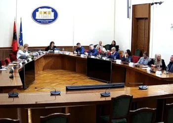 Deputeti Metaj përplaset me Vokshin