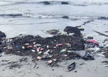 Ndotje alarmante në Vlorë