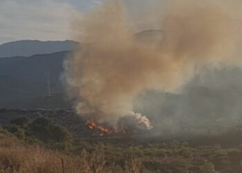 Merr flakë fusha e mbetjeve të inceneratorit në Elbasan