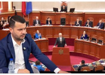 Kush përfiton nga kriza?