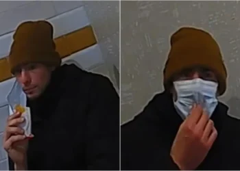 Vrasësi i CEO-së u kap duke ngrënë në McDonald’s, klientët menduan se ishte shaka