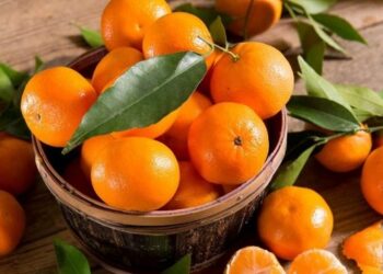 Vitamina apo helm? Historia e mandarinave që Europa i refuzon, ne i hamë