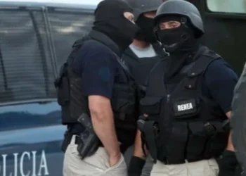 RENEA aksion në Shkodër