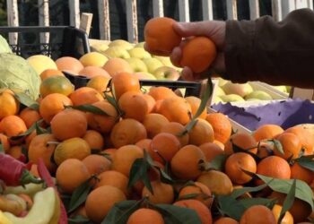 Ervin Resuli: Mandarinat me mbetje pesticidesh, ministria fsheh rastin