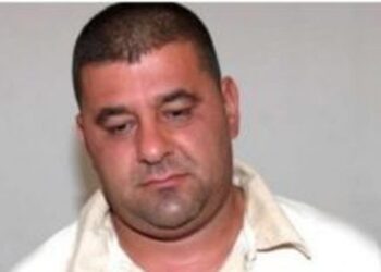 Konfiskohen pasuritë e Alket Hatijës