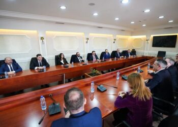 Takim mes grupit parlamentar të LDK-së dhe PD-së