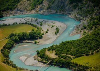 Prokuroria e Fierit dërgon në gjyq 3 persona për dëmtim të habitateve mjedisore