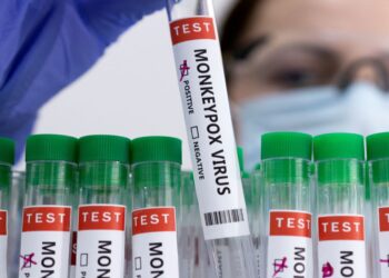 Rasti i parë me linë e majmunëve në Kosovë