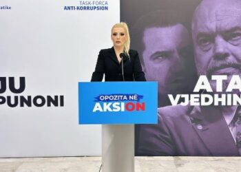 PD: Kompani të personave të arrestuar marrin fonde nga paratë publike