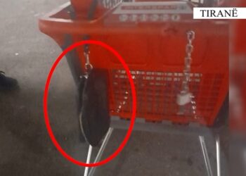 Roja e sigurisë dhe policia kthejnë çantën me 27 mijë euro te qytetarit