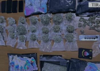 Drogë nga SHBA dhe Tajlanda, çmontohen dy grupe trafiku në Shqipëri