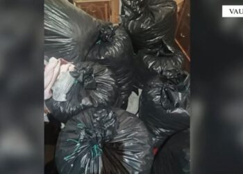 Sekuestrohen 140 kg kanabis në Shkodër, arrestohen 4 persona