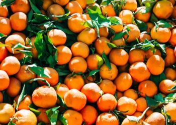 Kosova ndalon mandarinat nga Shqipëria