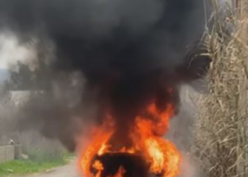 Automjeti u vodh në Kamëz/ Vrasja e Lulzim Vishës në Tiranë, reagon policia