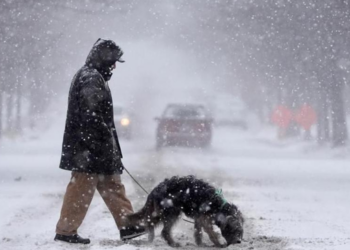 Vorbulla polare godet SHBA-në, 7 shtete në gjendje të jashtëzakonshme