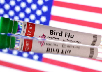 SHBA, viktima e parë nga gripi i shpendëve