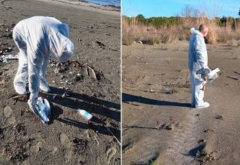 Gripi i shpendëve në Vlorë, konfirmohet prania e virusit