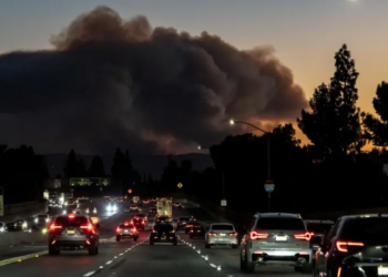 Zjarret në Los Angeles, guvernatori kërkon hetim për hidrantët pa ujë