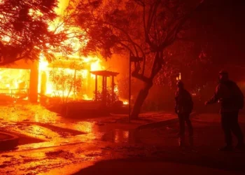 24 viktima nga zjarret në Los Angeles