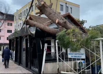 Erërat e forta në Lezhë, dëme dhe probleme me energjinë