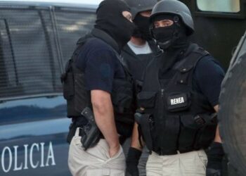 Operacion masiv në Pogradec/ Sekuestrohen armë dhe drogë