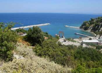 Investitori pa plan biznesi: Çfarë qëndron pas projektit të Sazanit?