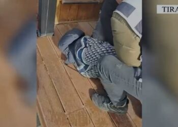 Po transportonin 60 kg drogë, dy të arrestuar në Tiranë