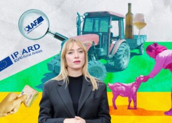 Qesharake dhe tragjike: 376 mijë euro për të “zbuluar” atë që OLAF e ka zbuluar