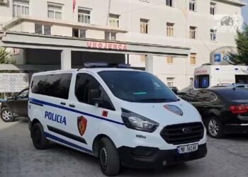 “Plagosja” në Vaun e Dejës, policia zbardh ngjarjen