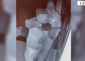 Hajdutët “serialë” kapen në Lezhë pas vjedhjesh në disa biznese