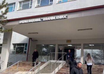 Drejtoresha e Spitalit Dibër, godet me sende të forta shefin e financës