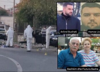 Operacioni i RENEA-s në Shkodër, detaje të reja për masakrën e Dobraçit