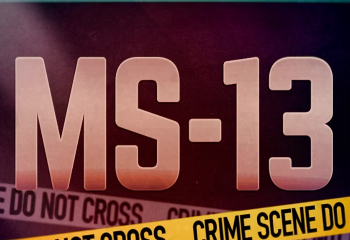 Administrata Trump shpall kartelet e Amerikës Latine si organizata terroriste