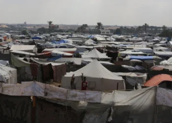 A do të mbështesë IOM zhvendosjen e detyruar të palestinezëve