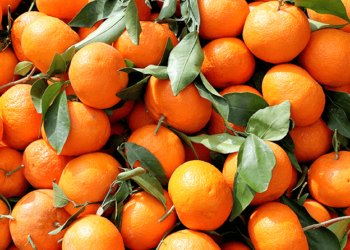 Pse 10 ton mandarina u kthyen nga Kroacia dhe u hodhën në tregun shqiptar