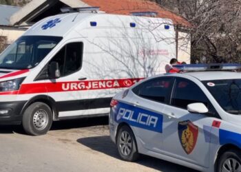 Plagosja me thikë në Shkodër, një viktimë