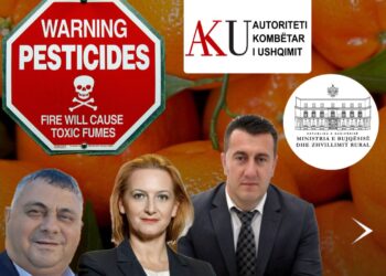 Rikthehen mandarinat e helmuara: Institucionet flenë,shqiptarët kavie eksperimentale